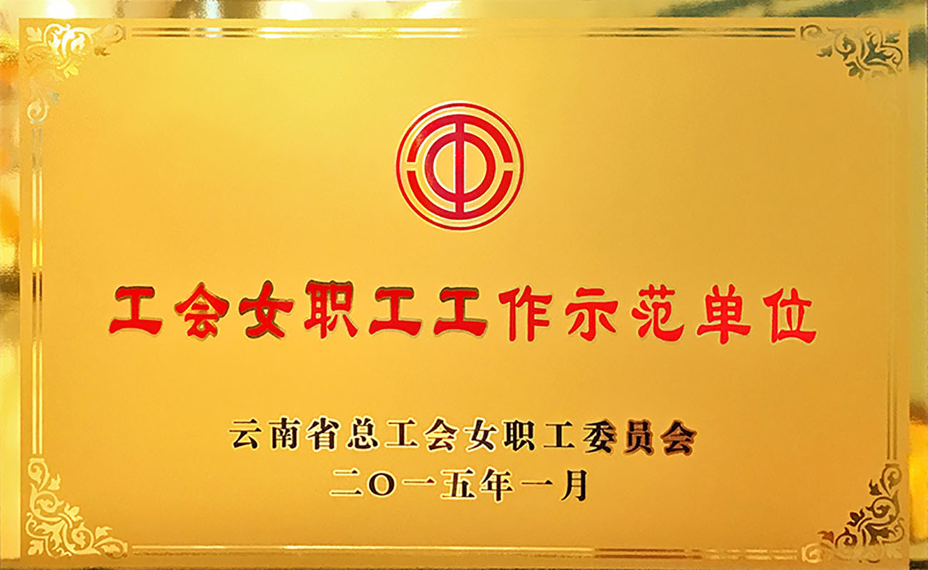 2015工会女职工工作示范单元
